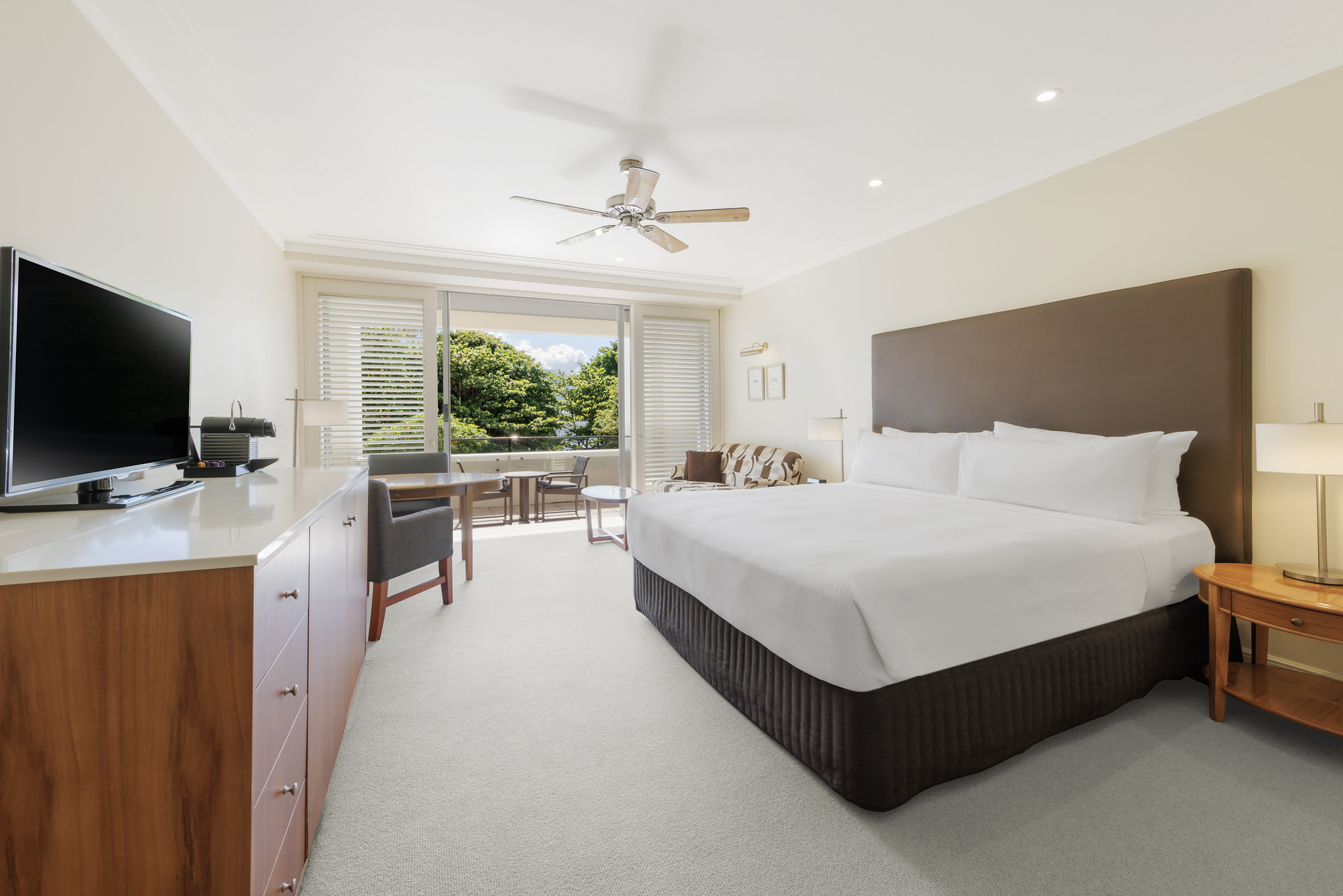 Deluxe park view room